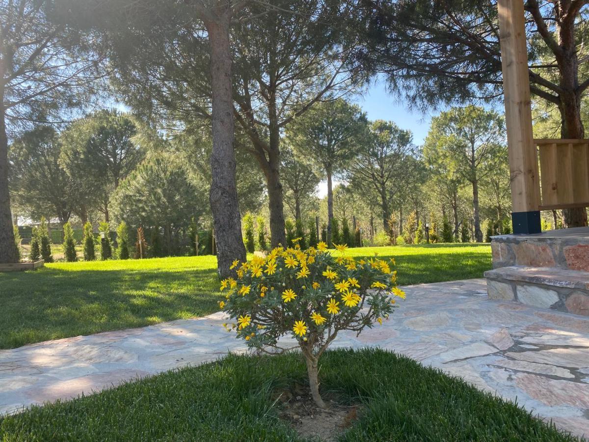 Elyada Otel Ve Bag Evi 8 Yas Ustu Bozcaada Exterior foto